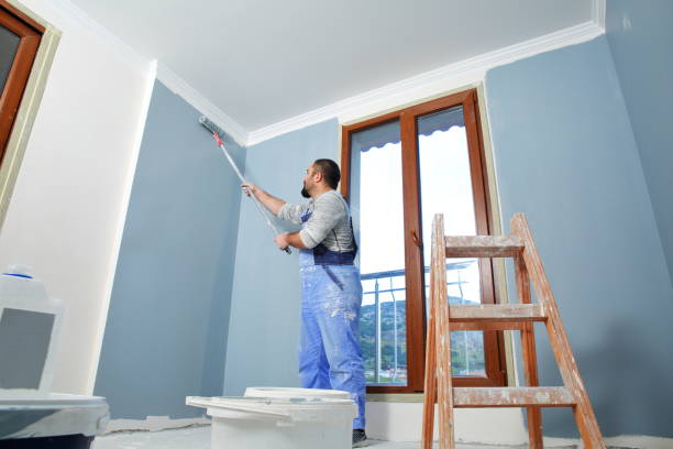Best Attic Mold Removal  in Ball Ground, GA