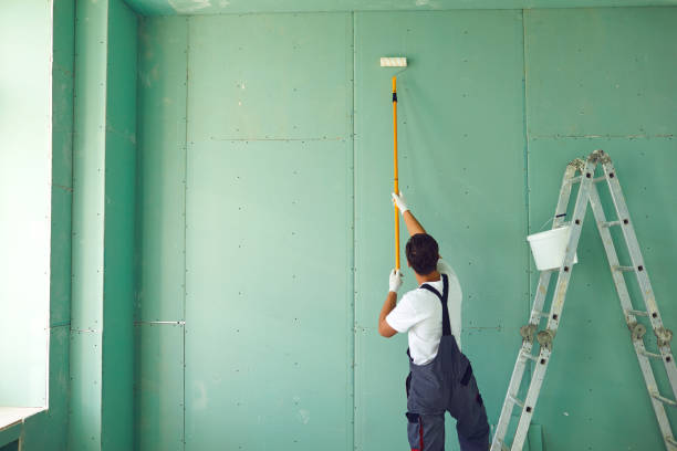 Best Black Mold Removal  in Ball Ground, GA