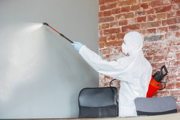Best Industrial Mold Remediation  in Ball Ground, GA