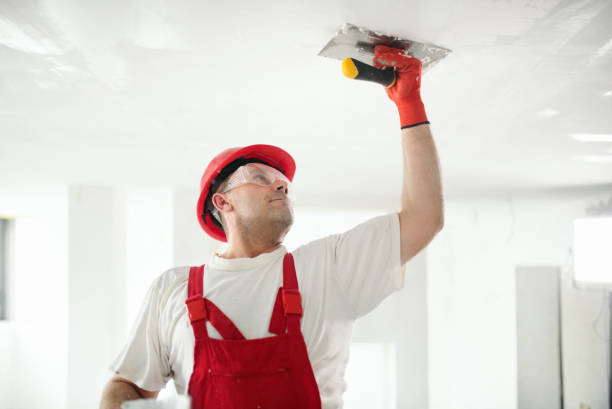 Best Post-Construction Mold Inspection  in Ball Ground, GA