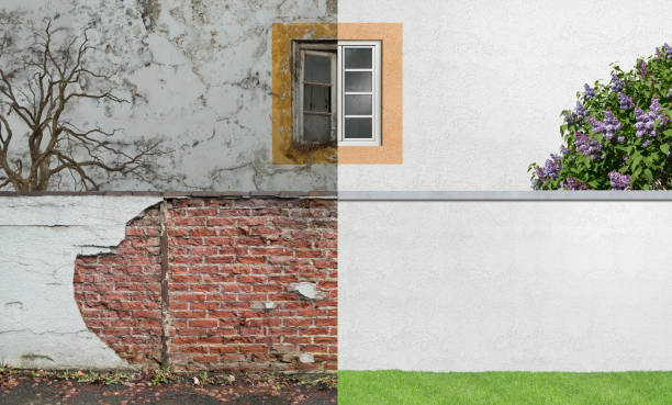 Best Basement Mold Removal  in Ball Ground, GA
