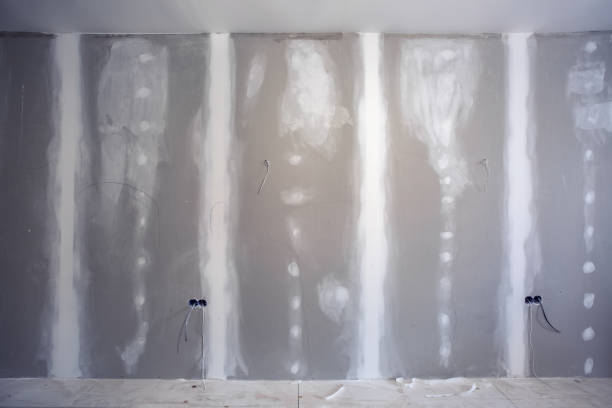Best Mold Removal for HVAC Installations  in Ball Ground, GA